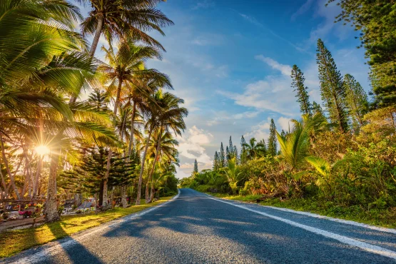 trajets toutes distances en vtc a la reunion
